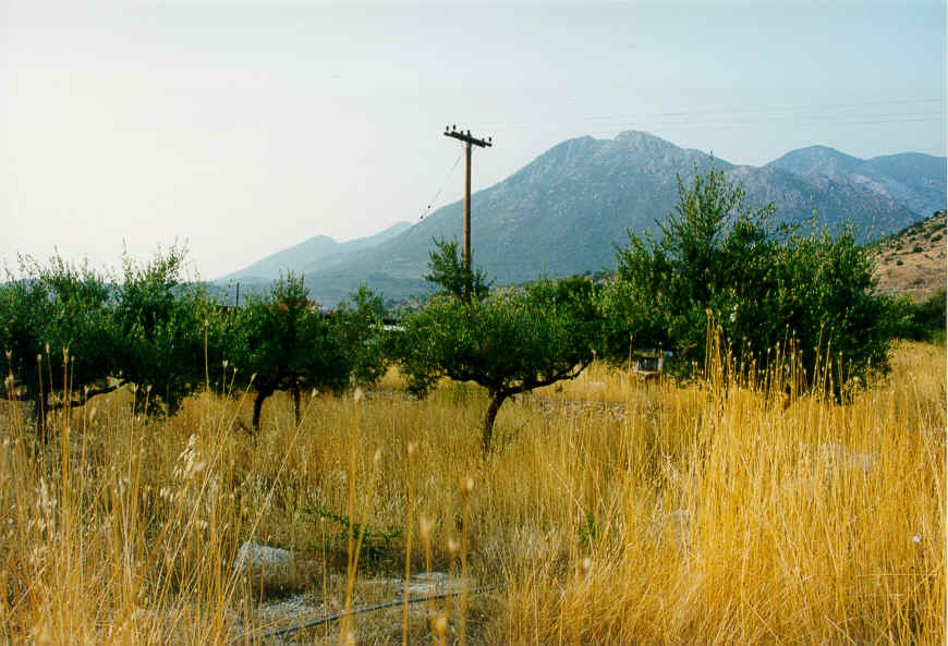 wpe47.jpg (74033 bytes)